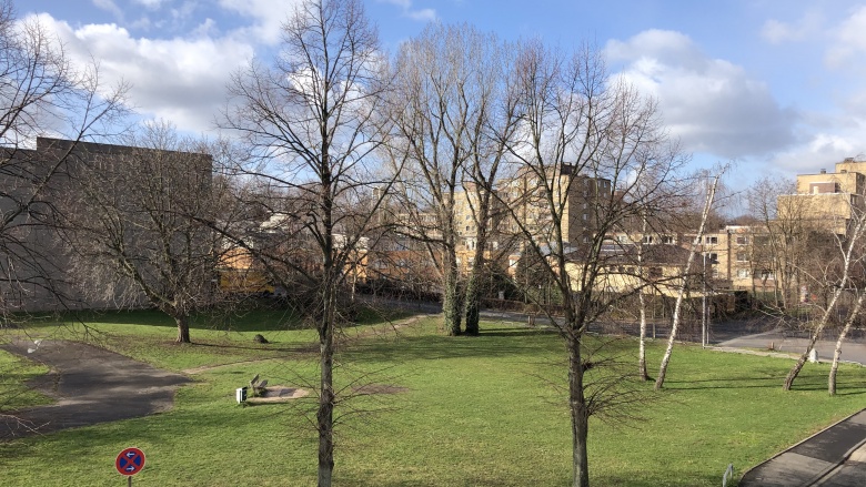 Blick auf die Fläche an der Wilhelm-Rieländer-Straße